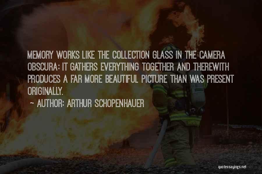 The Camera Obscura Quotes By Arthur Schopenhauer