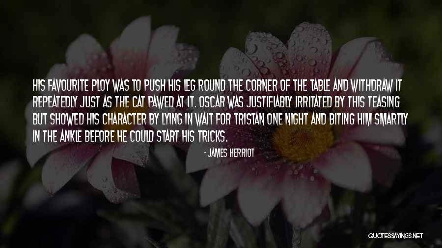 The Cat's Table Quotes By James Herriot The Cat's Table Quotes By James Herriot