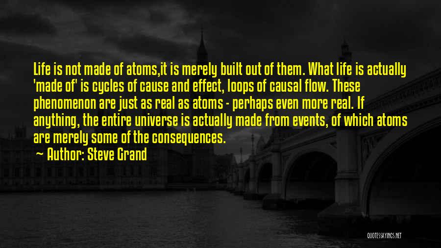 The Cause Quotes By Steve Grand