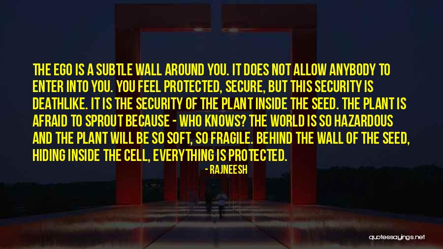 The Cell Wall Quotes By Rajneesh The Cell Wall Quotes By Rajneesh