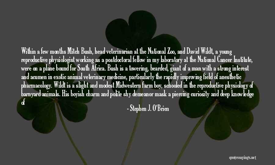 The Center Within Quotes By Stephen J. O'Brien The Center Within Quotes By Stephen J. O'Brien
