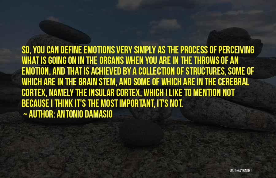 The Cerebral Cortex Quotes By Antonio Damasio