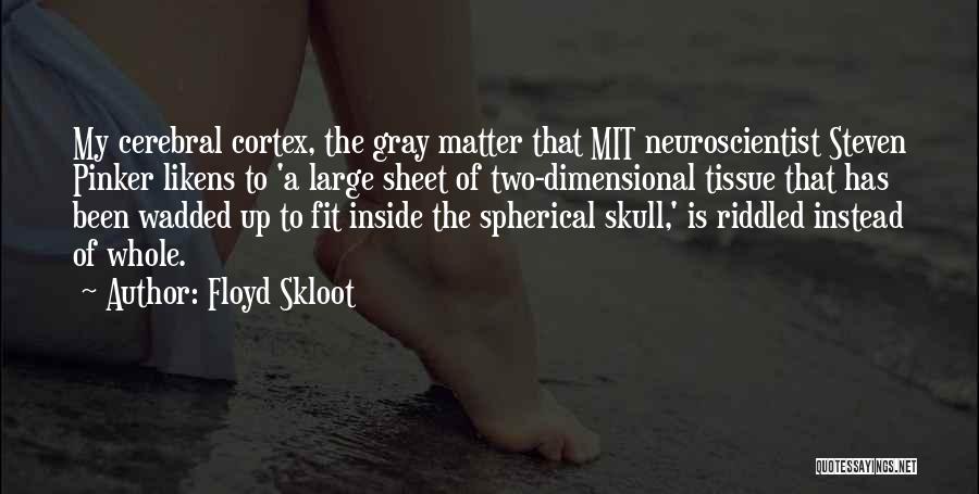 The Cerebral Cortex Quotes By Floyd Skloot