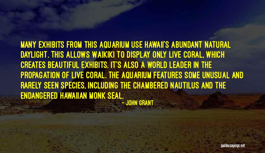 The Chambered Nautilus Quotes By John Grant