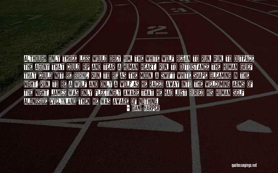 The Changeling Quotes By Dani Harper The Changeling Quotes By Dani Harper