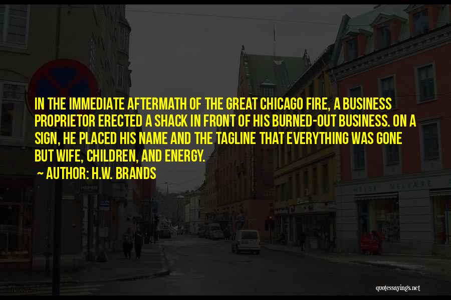 The Chicago Fire Quotes By H.W. Brands