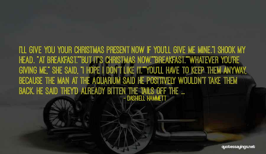 The Christmas Hope Quotes By Dashiell Hammett