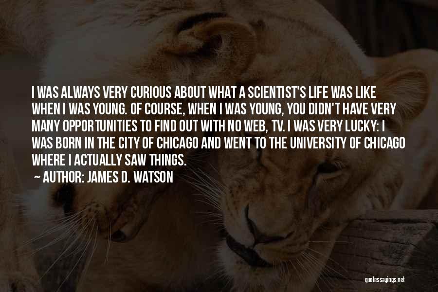 The City Chicago Quotes By James D. Watson