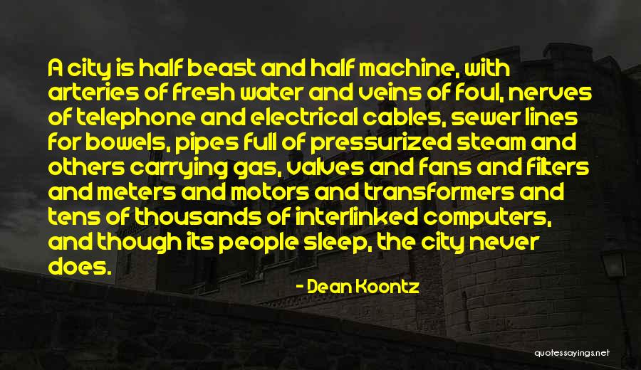 The City Dean Koontz Quotes By Dean Koontz