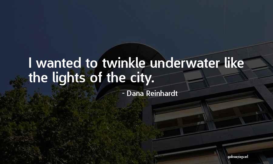 The City Of Lights Quotes By Dana Reinhardt The City Of Lights Quotes By Dana Reinhardt