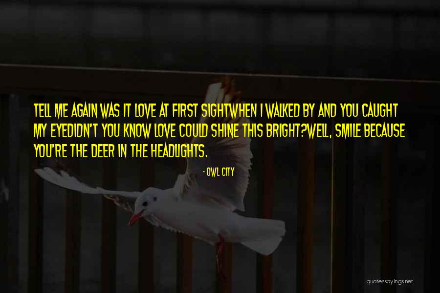 The City You Love Quotes By Owl City The City You Love Quotes By Owl City