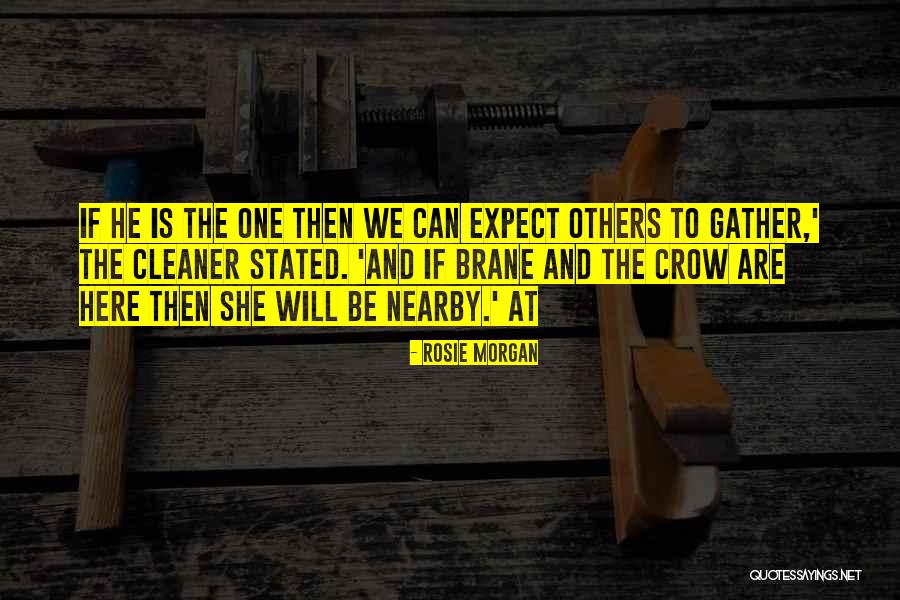 The Cleaner Quotes By Rosie Morgan The Cleaner Quotes By Rosie Morgan