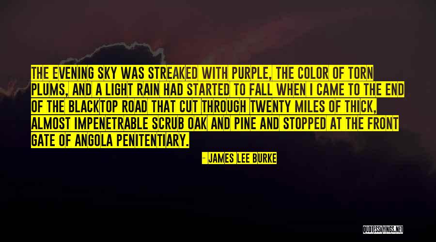 The Color Of Rain Quotes By James Lee Burke The Color Of Rain Quotes By James Lee Burke