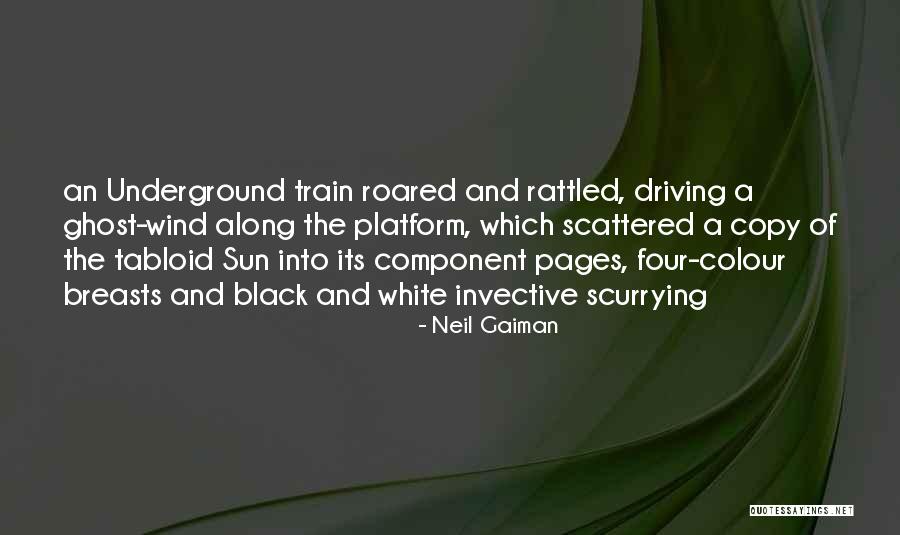 The Colour Black Quotes By Neil Gaiman