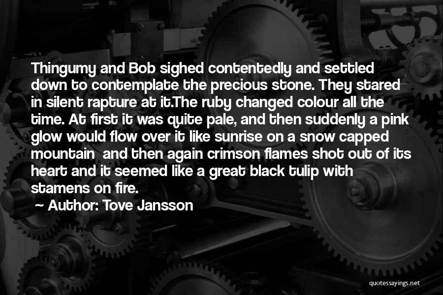 The Colour Black Quotes By Tove Jansson