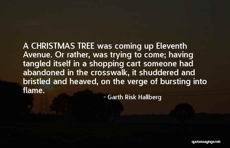 The Coming Christmas Quotes By Garth Risk Hallberg