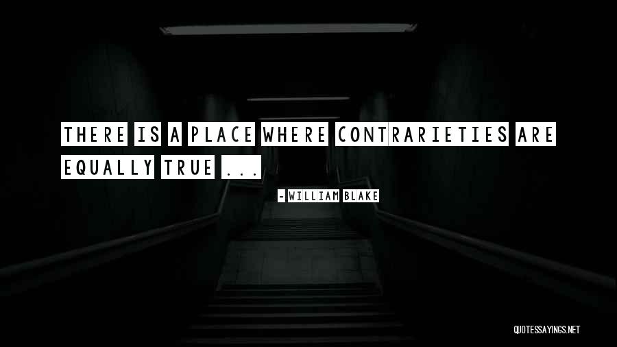 The Constitution Dbq Quotes By William Blake The Constitution Dbq Quotes By William Blake