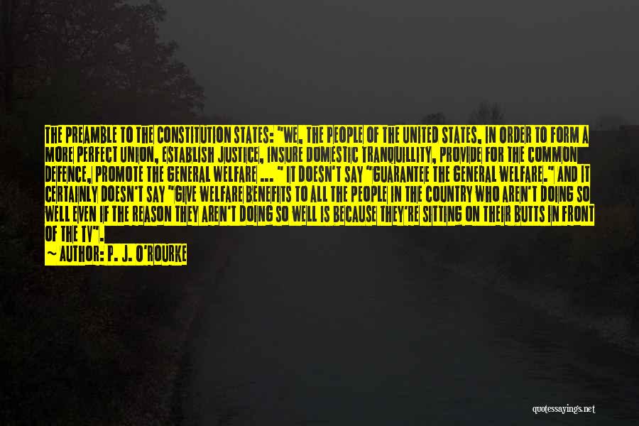 The Constitution Of The United States Quotes By P. J. O'Rourke