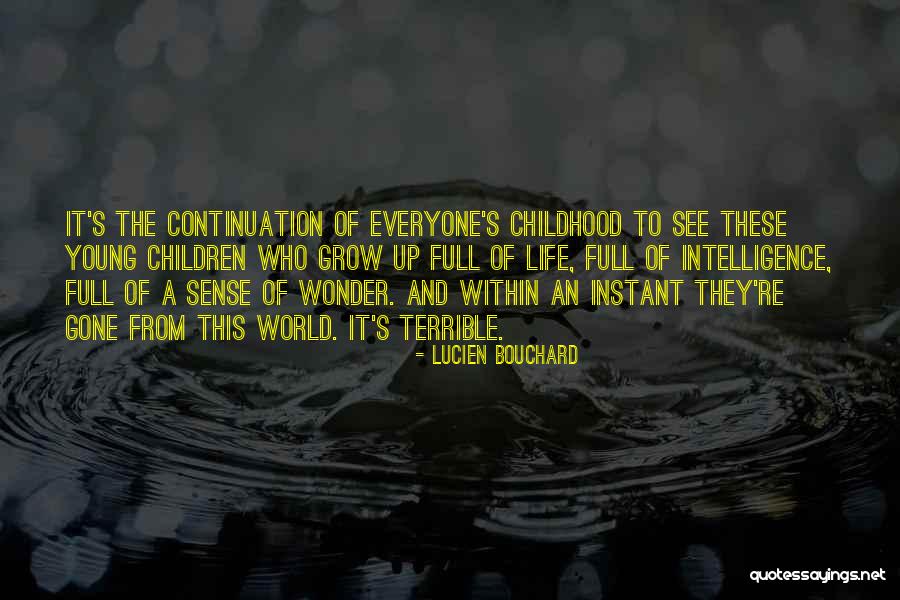 The Continuation Of Life Quotes By Lucien Bouchard The Continuation Of Life Quotes By Lucien Bouchard