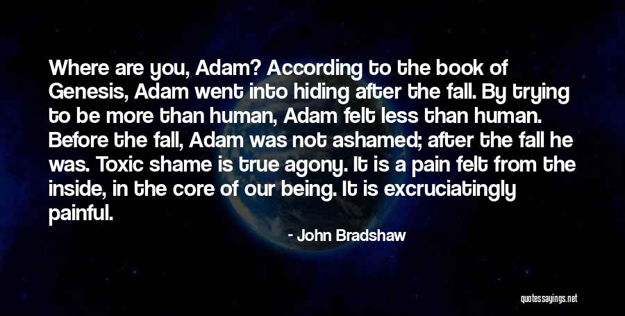 The Core Quotes By John Bradshaw The Core Quotes By John Bradshaw