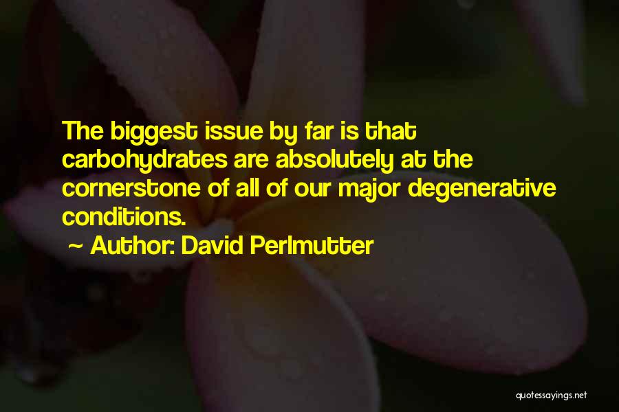 The Cornerstone Quotes By David Perlmutter