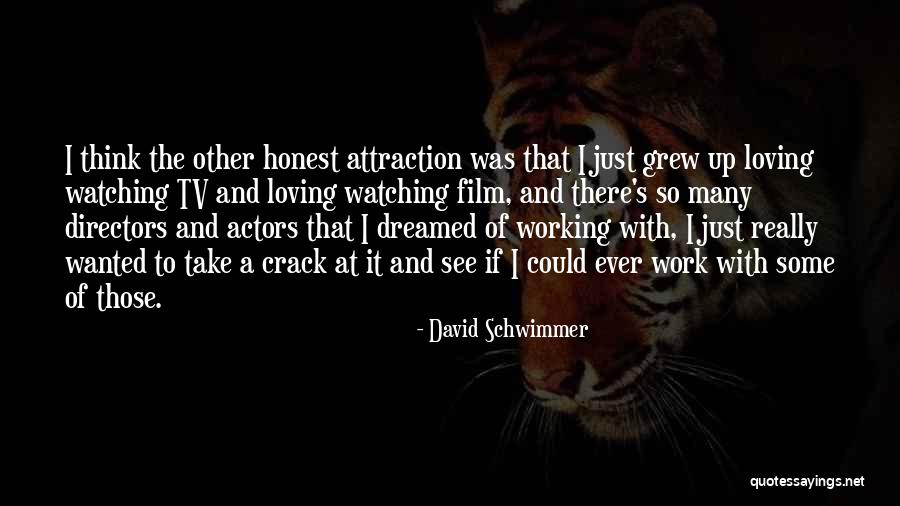 The Crack Up Quotes By David Schwimmer The Crack Up Quotes By David Schwimmer