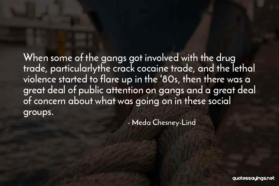 The Crack Up Quotes By Meda Chesney-Lind The Crack Up Quotes By Meda Chesney-Lind