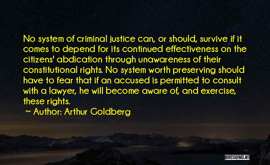 The Criminal Justice System Quotes By Arthur Goldberg