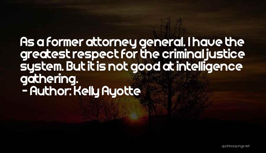 The Criminal Justice System Quotes By Kelly Ayotte