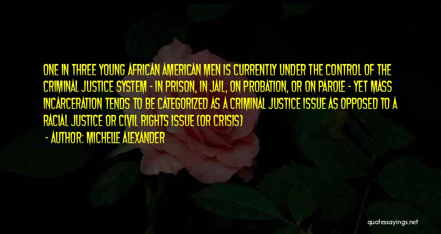 The Criminal Justice System Quotes By Michelle Alexander