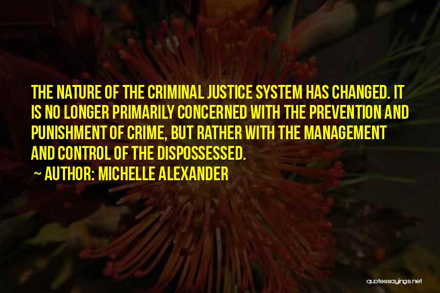 The Criminal Justice System Quotes By Michelle Alexander