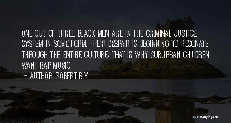 The Criminal Justice System Quotes By Robert Bly