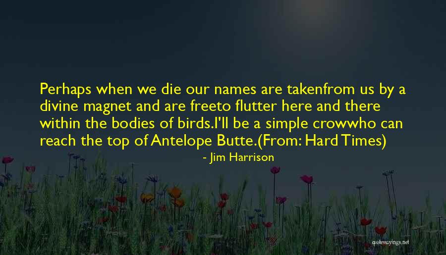 The Crow Quotes By Jim Harrison The Crow Quotes By Jim Harrison