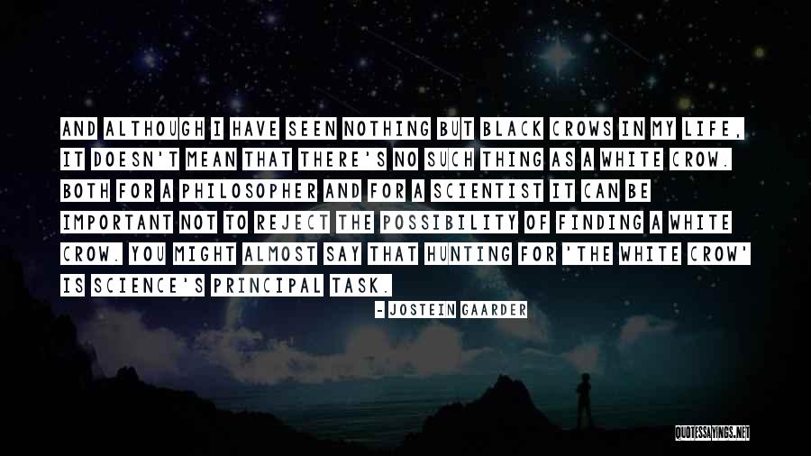 The Crow Quotes By Jostein Gaarder The Crow Quotes By Jostein Gaarder