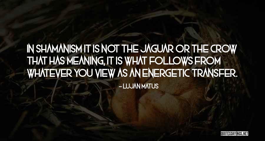 The Crow Quotes By Lujan Matus The Crow Quotes By Lujan Matus
