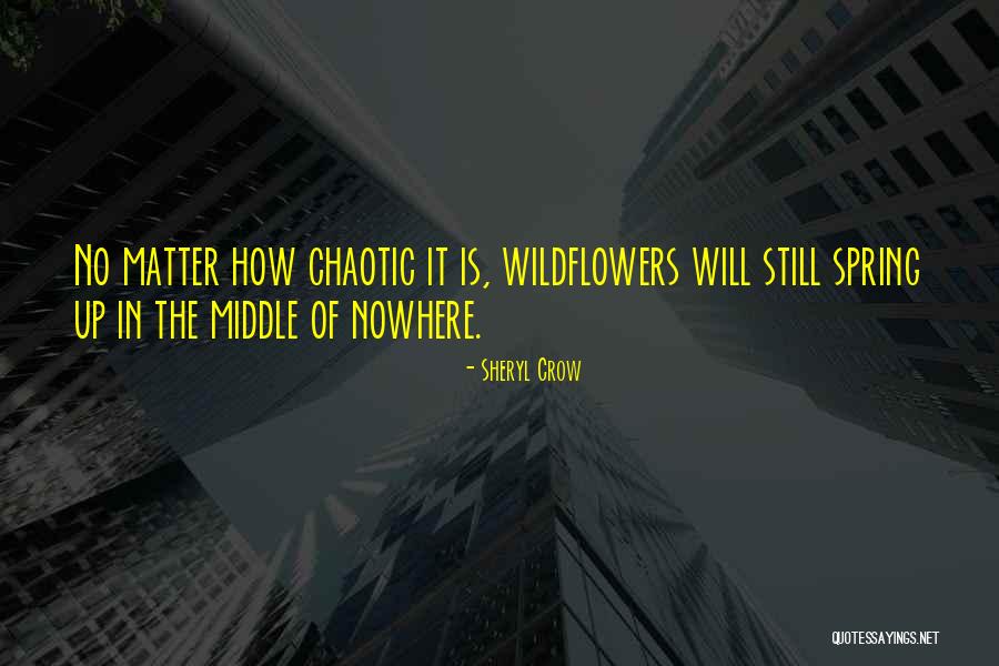 The Crow Quotes By Sheryl Crow The Crow Quotes By Sheryl Crow