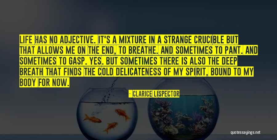 The Crucible Quotes By Clarice Lispector