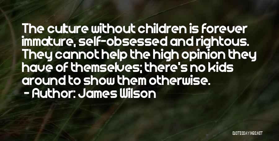 The Culture High Quotes By James Wilson