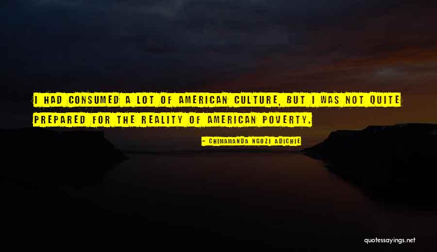 The Culture Of Poverty Quotes By Chimamanda Ngozi Adichie The Culture Of Poverty Quotes By Chimamanda Ngozi Adichie