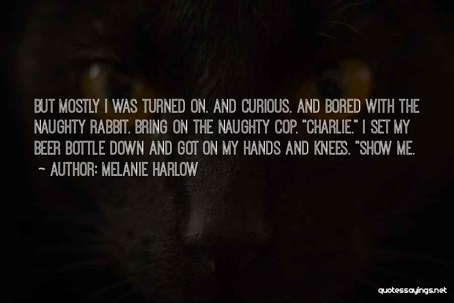 The Curious Quotes By Melanie Harlow