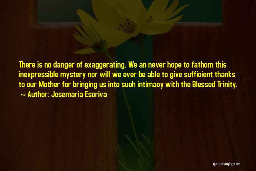 The Danger Of Hope Quotes By Josemaria Escriva