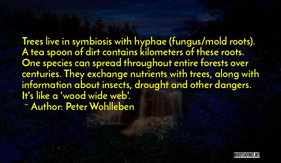 The Dangers Of Science Quotes By Peter Wohlleben