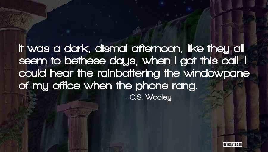 The Dark Days Quotes By C.S. Woolley