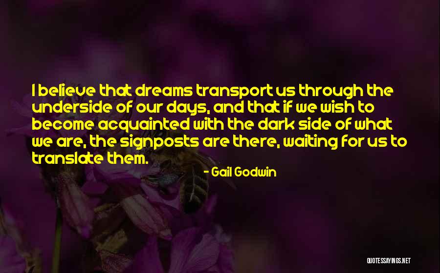 The Dark Days Quotes By Gail Godwin