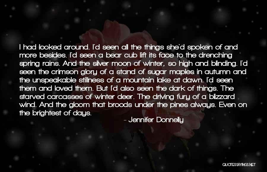 The Dark Days Quotes By Jennifer Donnelly The Dark Days Quotes By Jennifer Donnelly