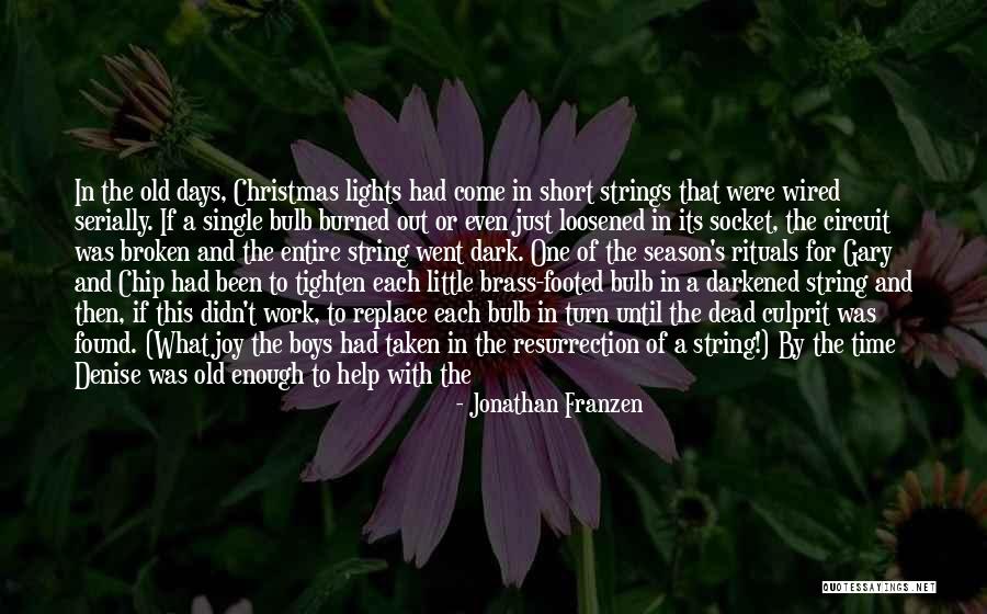 The Dark Days Quotes By Jonathan Franzen The Dark Days Quotes By Jonathan Franzen