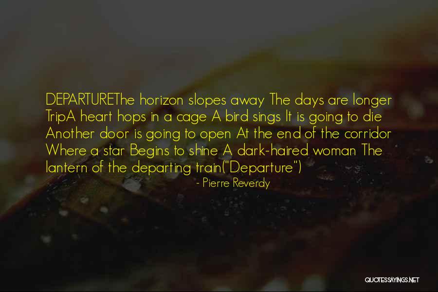 The Dark Days Quotes By Pierre Reverdy