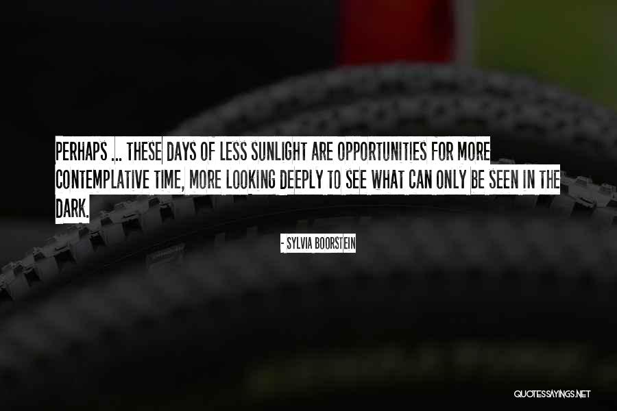 The Dark Days Quotes By Sylvia Boorstein The Dark Days Quotes By Sylvia Boorstein
