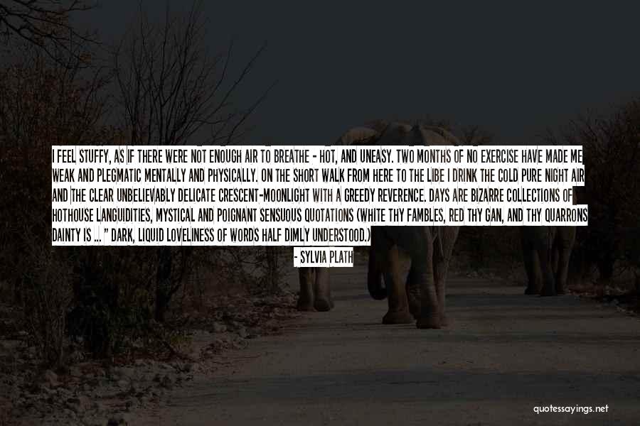 The Dark Days Quotes By Sylvia Plath The Dark Days Quotes By Sylvia Plath