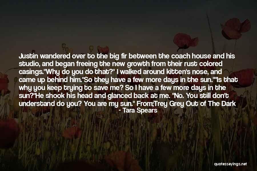 The Dark Days Quotes By Tara Spears The Dark Days Quotes By Tara Spears